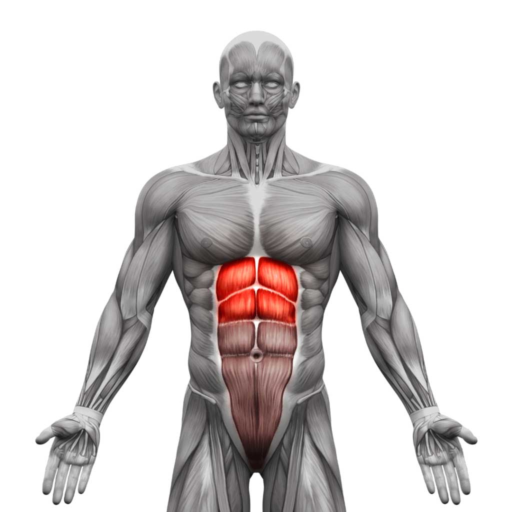 Upper-Abs